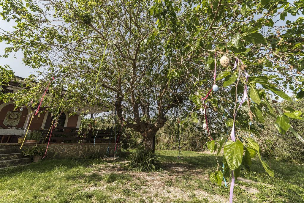Country House Araba Phoenix Castellabate Exteriér fotografie